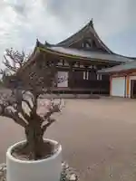 蓮華王院(三十三間堂)の本殿・本堂