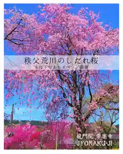 【公式】龍門院常楽寺(秩父札所十一番)(埼玉県)(2025年03月18日(火) 16時32分20秒投稿)