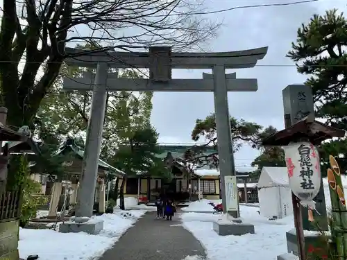 杉杜白髭神社の鳥居
