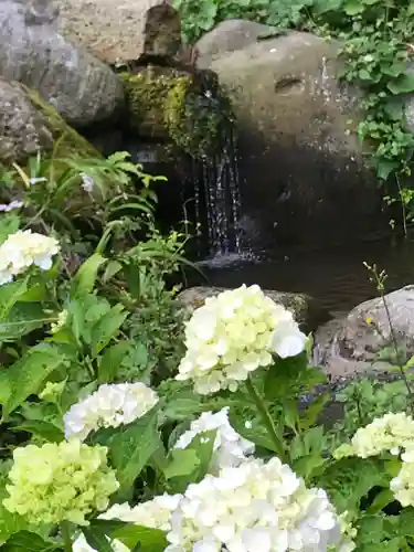 幸徳院笹野寺の自然