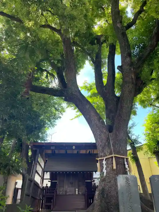 女塚神社の{uncategorized: "未分類", other: "その他", undefined: "問題あり", building: "その他建物", grave: "お墓", sacred_gate: "鳥居", guardian: "狛犬", statue: "像", buddha: "仏像", history: "歴史", nature: "自然", garden: "庭園", animal: "動物", pagoda: "塔", temizu: "手水舎", mountain_gate: "山門・神門", sanctuary: "本殿・本堂", subordinate: "末社・摂社", art: "芸術", scenery: "景色", jizo: "地蔵", ema: "絵馬", goshuin: "御朱印", omikuji: "おみくじ", items: "授与品その他", amulet: "お守り", goshuincho: "御朱印帳", eats: "食事", festival: "お祭り", votive_dance: "神楽", shichigosan: "七五三参", wedding: "結婚式", experience: "体験その他", initially: "初詣", around: "周辺", anti_infection: "感染症対策"}
