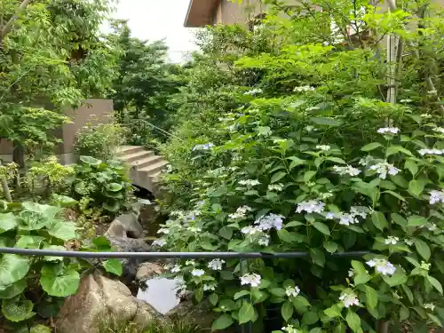 川越氷川神社の{uncategorized: "未分類", other: "その他", undefined: "問題あり", building: "その他建物", grave: "お墓", sacred_gate: "鳥居", guardian: "狛犬", statue: "像", buddha: "仏像", history: "歴史", nature: "自然", garden: "庭園", animal: "動物", pagoda: "塔", temizu: "手水舎", mountain_gate: "山門・神門", sanctuary: "本殿・本堂", subordinate: "末社・摂社", art: "芸術", scenery: "景色", jizo: "地蔵", ema: "絵馬", goshuin: "御朱印", omikuji: "おみくじ", items: "授与品その他", amulet: "お守り", goshuincho: "御朱印帳", eats: "食事", festival: "お祭り", votive_dance: "神楽", shichigosan: "七五三参", wedding: "結婚式", experience: "体験その他", initially: "初詣", around: "周辺", anti_infection: "感染症対策"}
