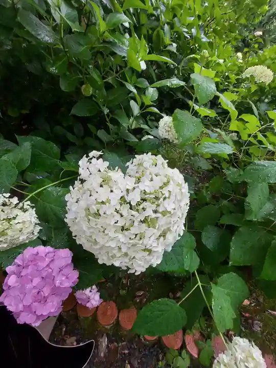 御裳神社(愛知県)