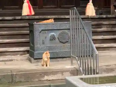 太宗寺(東京都)
