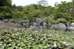 當麻寺 奥院の庭園