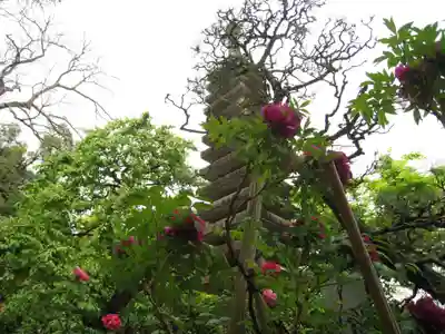 高蔵寺(東京都)