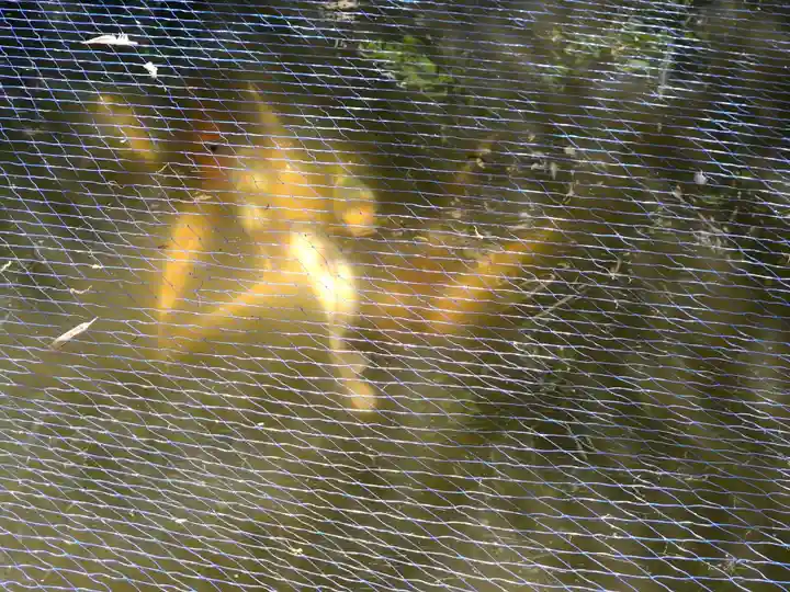 小梳神社(静岡県)