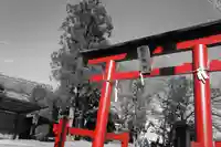 飯玉神社の鳥居