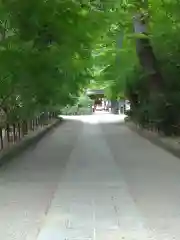 宇治上神社の建物その他