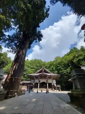 戸隠神社中社(長野県)