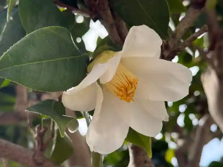 西方山極楽寺(岐阜県)