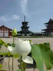 薬師寺の塔