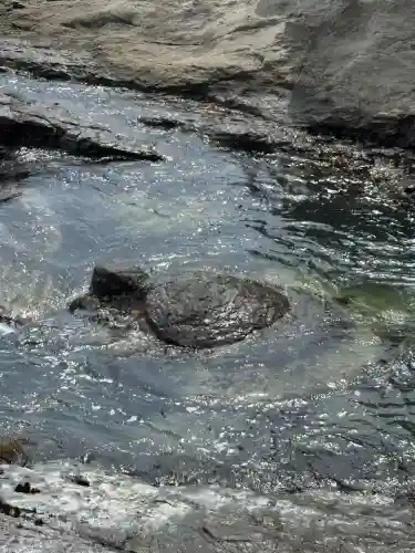 江島神社(神奈川県)