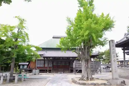 称名寺(愛知県)