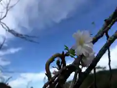 天山神社の自然