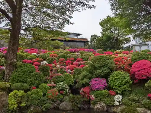 根津神社(東京都)