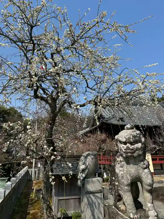 岩津天満宮の自然
