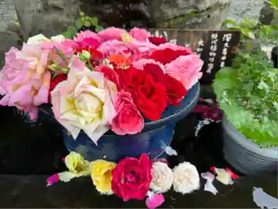 深大寺(東京都)