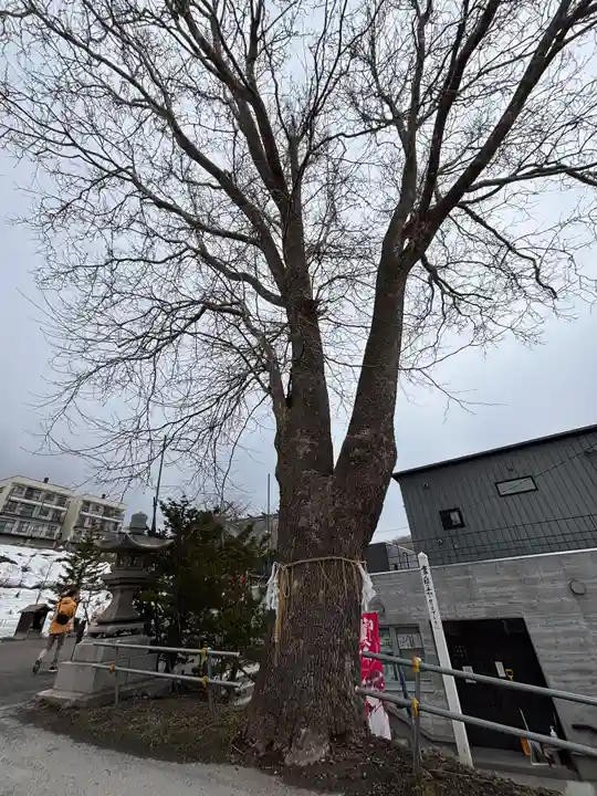 龍宮神社(北海道)