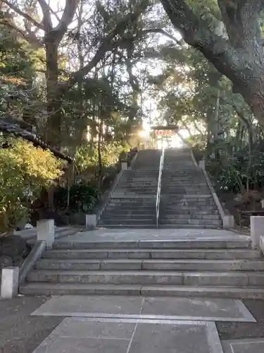 蝮ヶ池八幡宮の自然