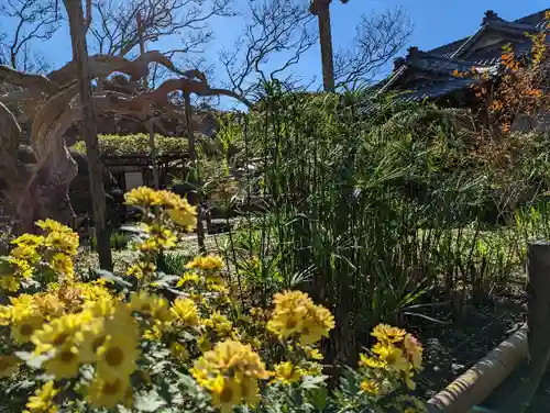 極楽寺（霊鷲山感應院極楽律寺）の庭園