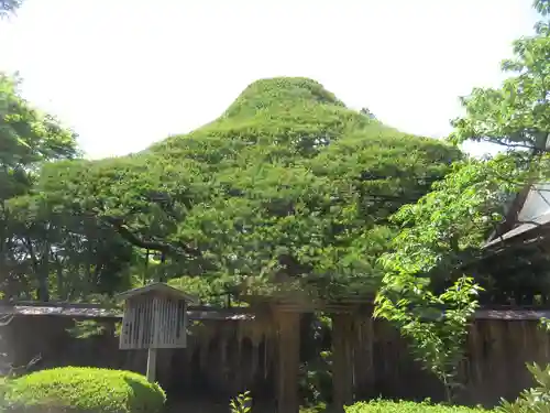 宝泉院の景色