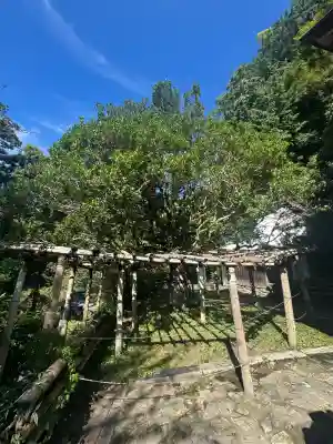 宝厳寺(滋賀県)