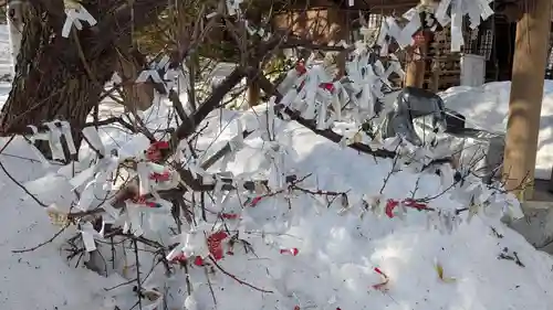 平岸天満宮・太平山三吉神社のおみくじ