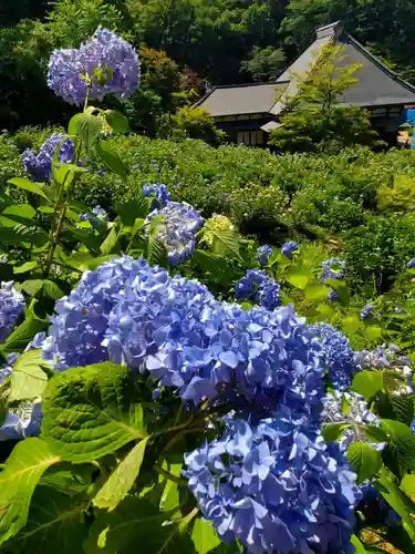 陽林寺(福島県)