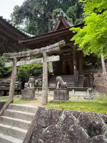 圓教寺の{uncategorized: "未分類", other: "その他", undefined: "問題あり", building: "その他建物", grave: "お墓", sacred_gate: "鳥居", guardian: "狛犬", statue: "像", buddha: "仏像", history: "歴史", nature: "自然", garden: "庭園", animal: "動物", pagoda: "塔", temizu: "手水舎", mountain_gate: "山門・神門", sanctuary: "本殿・本堂", subordinate: "末社・摂社", art: "芸術", scenery: "景色", jizo: "地蔵", ema: "絵馬", goshuin: "御朱印", omikuji: "おみくじ", items: "授与品その他", amulet: "お守り", goshuincho: "御朱印帳", eats: "食事", festival: "お祭り", votive_dance: "神楽", shichigosan: "七五三参", wedding: "結婚式", experience: "体験その他", initially: "初詣", around: "周辺", anti_infection: "感染症対策"}