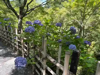 東福禅寺(東福寺)(京都府)