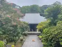 伊勢の国 四天王寺の本殿・本堂