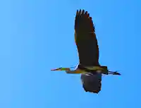 三津厳島神社(愛媛県)