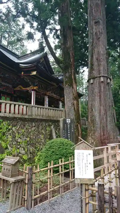 三峯神社の自然