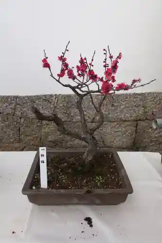 菅原天満宮（菅原神社）の自然