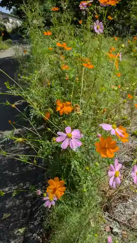 西願寺(廃寺)(京都府)