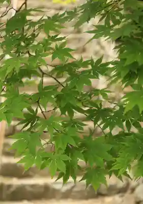神峯山寺(大阪府)