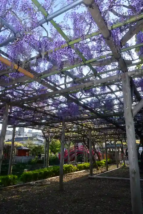 亀戸天神社の庭園