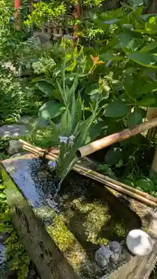 宝蔵寺(京都府)