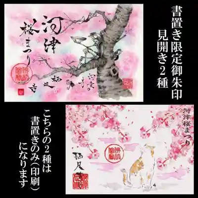 かっぱの寺 栖足寺の御朱印