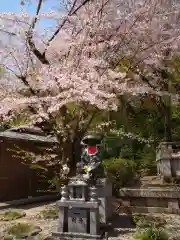 長谷寺(奈良県)