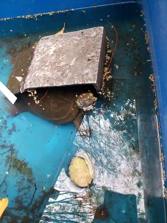 下谷神社(東京都)