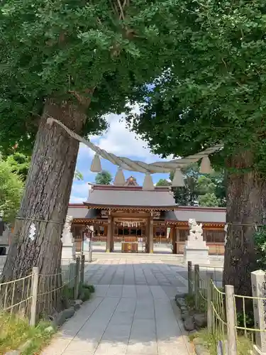 亀ケ池八幡宮の末社・摂社