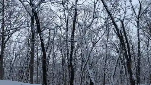 旭山稲荷金刀比羅神社の自然