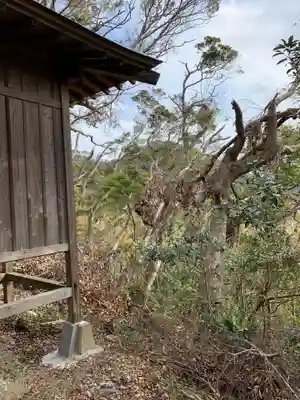 検儀谷神社の自然
