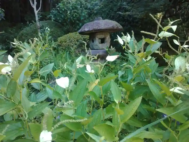 報国寺(神奈川県)