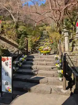 長谷寺(奈良県)