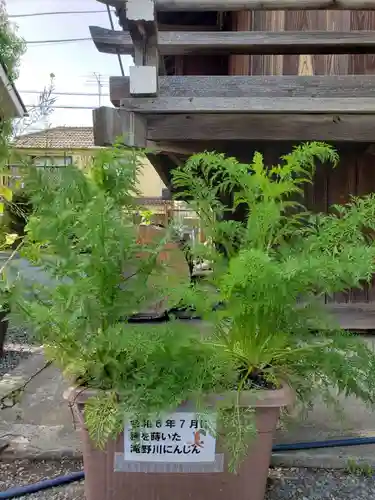 滝野川八幡神社(東京都)