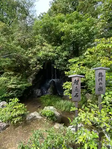 鹿苑寺（金閣寺）の庭園