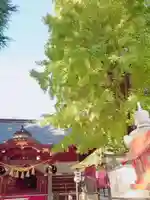 草加神社(埼玉県)